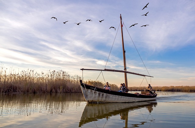 La Albufera de Valencia: Naturaleza, Tradición y una Escapada Perfecta desde el Centro
